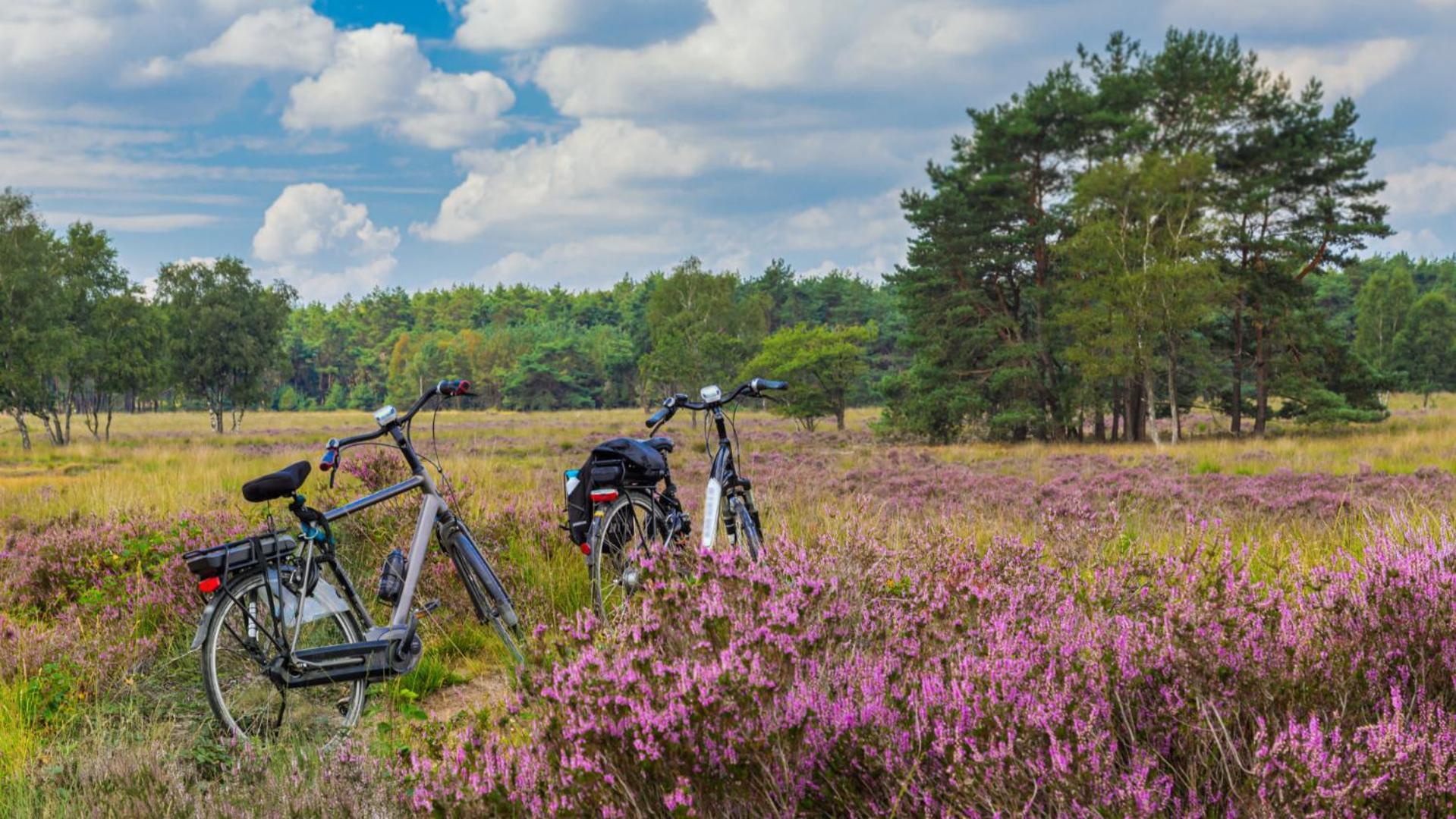 B&B Catharinenburg Golf & Wellness Melissant Exteriör bild