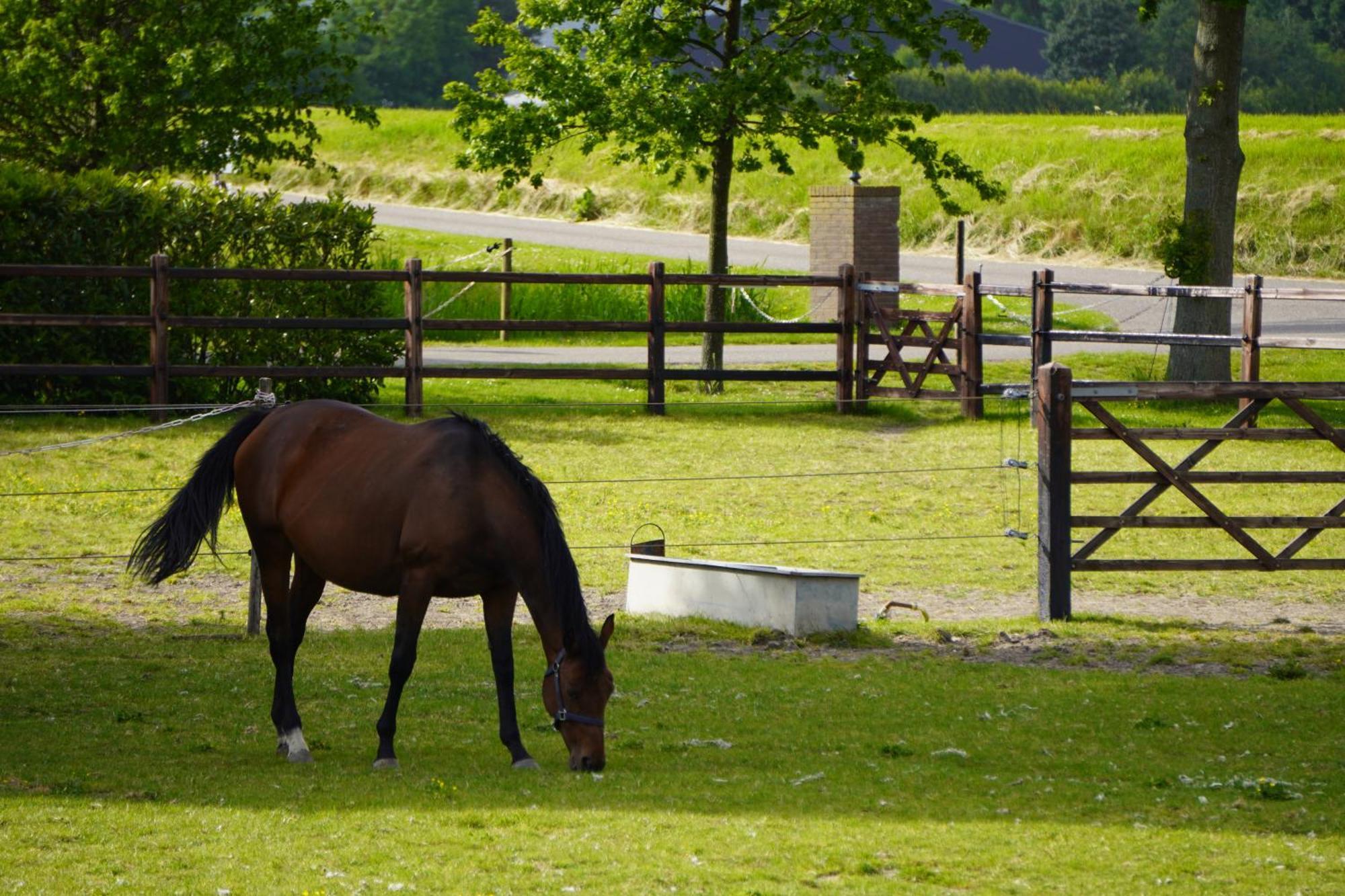 B&B Catharinenburg Golf & Wellness Melissant Exteriör bild